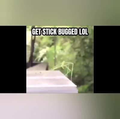 I am finally fixing up this sub!!