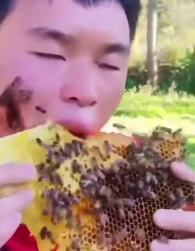 Even Bears know better