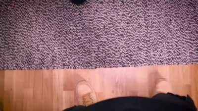 Stuck under bed (oc)