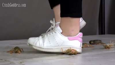 I have videos of women crushing in sneakers and boots, so message me if you’re interested.
