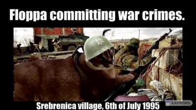 Floppa committing war crimes.