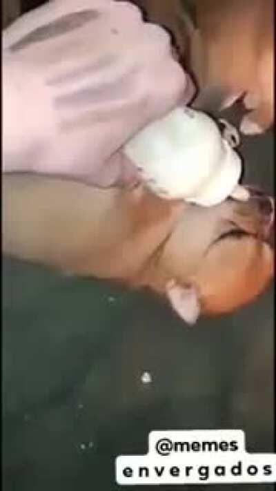 lechita y a mimir B)