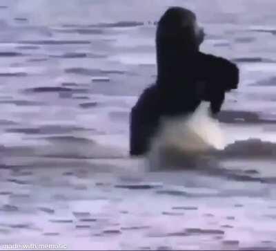 When the water is cold 😳