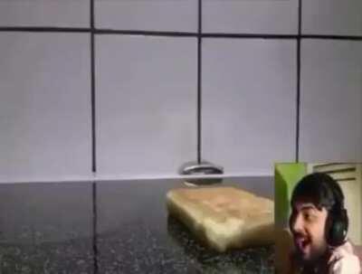 That waffle was pretty funny tho