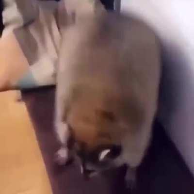 Como lo mueve esa muchachota