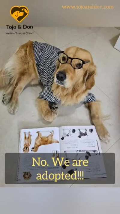 Moment of Truth- Before they realised