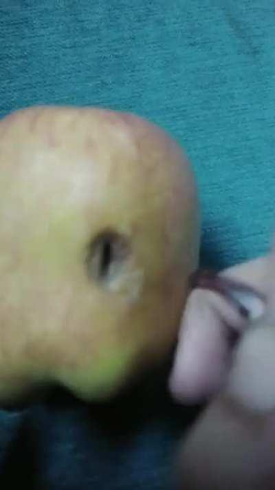 Blursed best quality