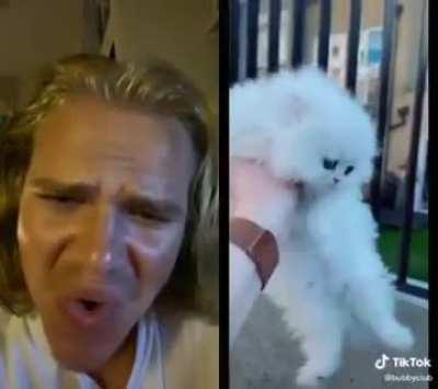 r/twosentencehorror rule