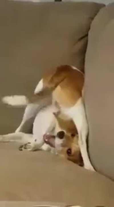 He is a little bit special nor normal I guess....