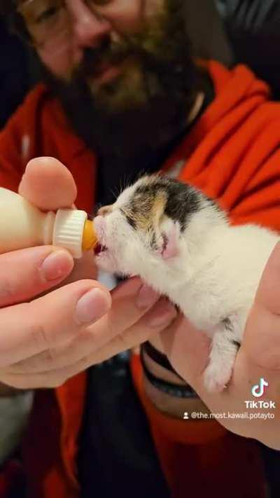 Apparently Freya, our bottle baby belongs here!