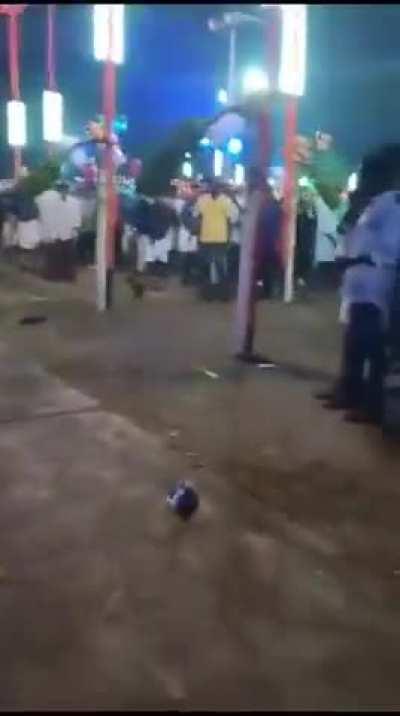 Small dog scares of Elephant 