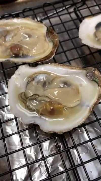 So, apparently you can find live crabs in your oysters. Thanks, I hate oysters now.