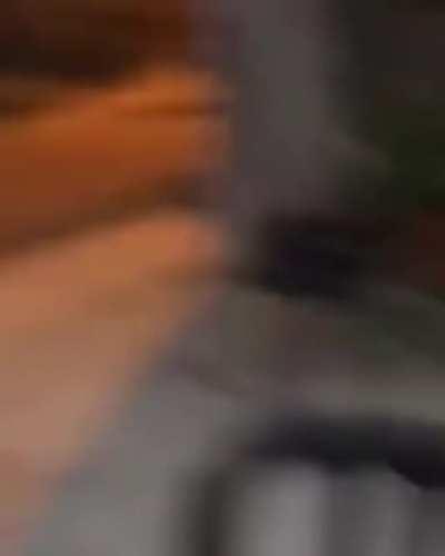 Bichinho amargurado da pqp