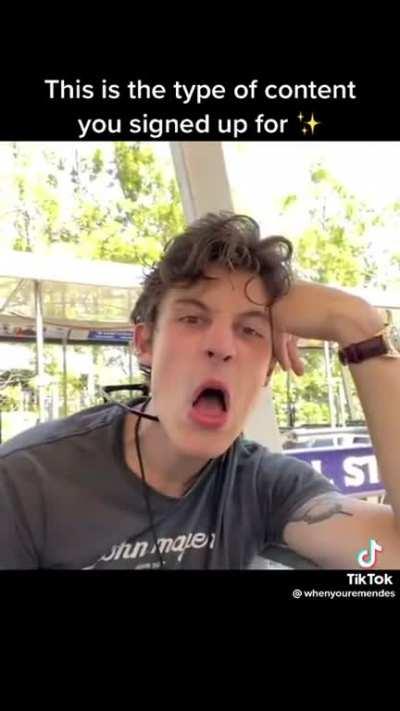 Help😭😭, But what are they doing!!!! Weirdly cute though!