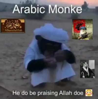 Monkeydonia Cenverted to Islam 🙏🙏🙏