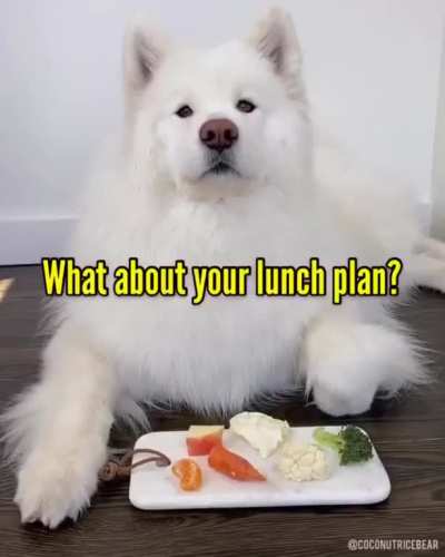 I took a nap feat coconutricebear.