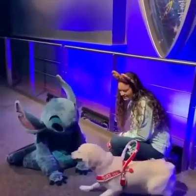 Pupper meets his favorite Disney character