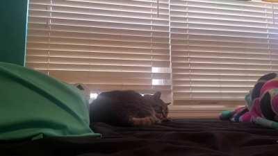 He doesn't understand that I'm not actually talking to him during my Teams calls