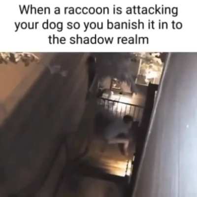 That poor raccoon