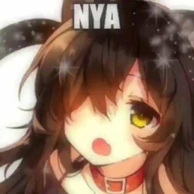 Nya~~~~~ (p≧w≦q)