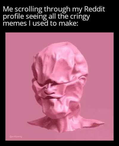 This is my first GIF meme