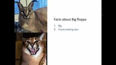 My teacher let us do a custom slide for our project so I made this.