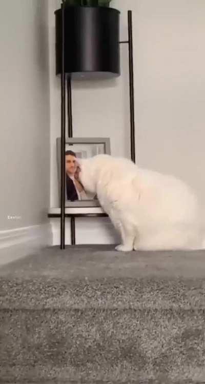 When Your Cat Is In Love With Your Husband