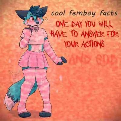 Cool Femboy Facts!