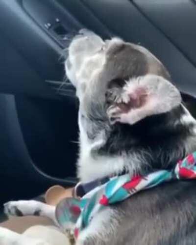 Whitney Houston makes everyone feel some type of way