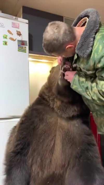 Man has a pet bear