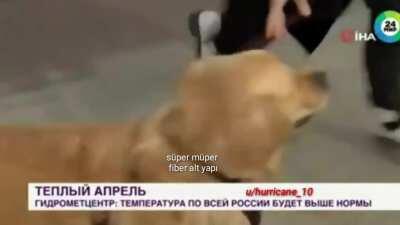 Züber altyapı+ eba canavarı pc =