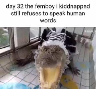 rodentintercourse - Video #2114