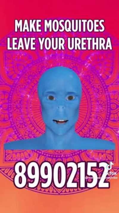 make mousquitoes leave your urethra