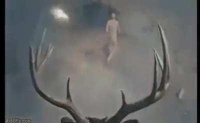 Noelle when berdly stands 0.0000000001 inches too close to susie