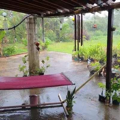 Watching the rain together