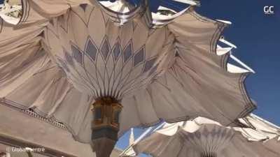 Feels like this is going to attack me now :0