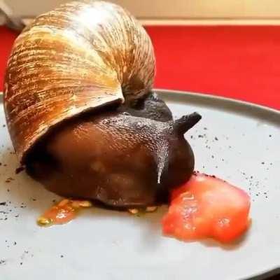 Timelapse of a snail eating a tomato.