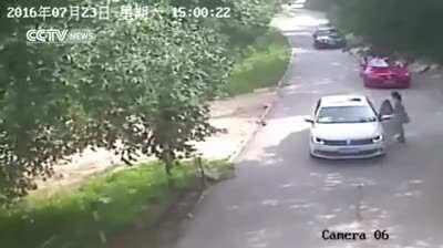 A woman decides to get out of the car to argue with her husband while in a tiger park