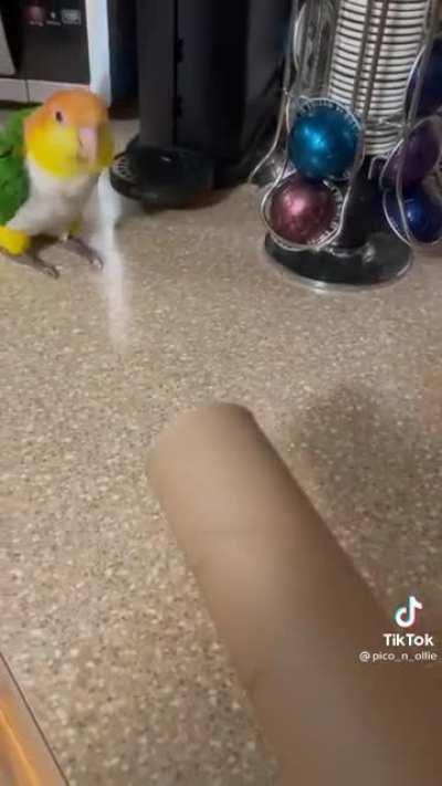 Small guy but strong slammys