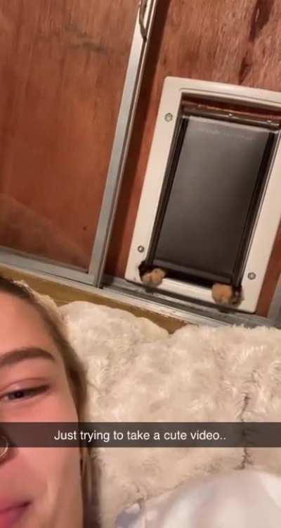 Providing for her hooman