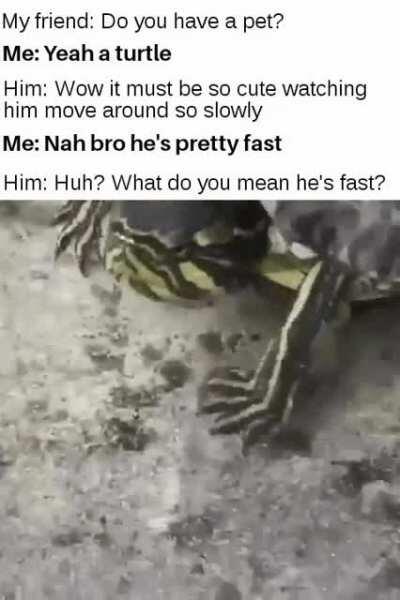 Fastest in the west