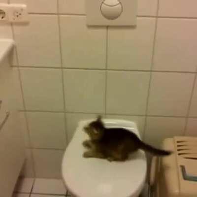 A wholesome moment of regret