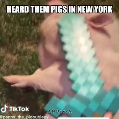 a bad 'edit' that I made with DIRTY! playing in the background