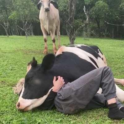 Pet the Damn Milk-doggo