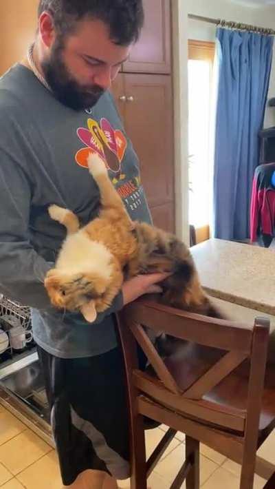 She’s learned the best way to get cuddles.