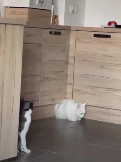 water’s leaking through the cabinet