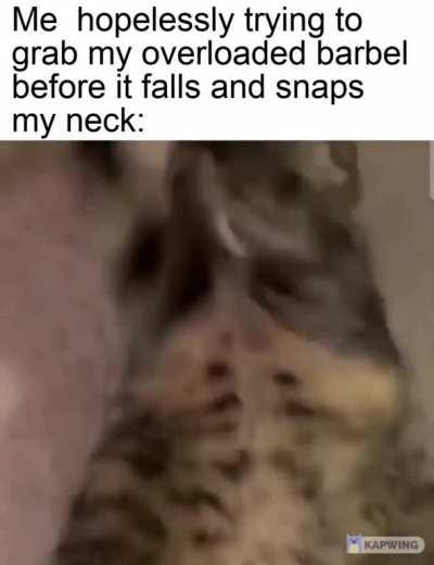 Average wunkus workout 