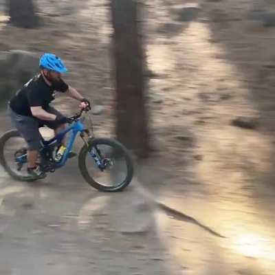 Argos is just over a year old and I’m starting to realize he’s half border collie, half Formula 1 car. This is 7 miles in on a mtn bike ride and he’s outpacing me on a descent. Holy crap.