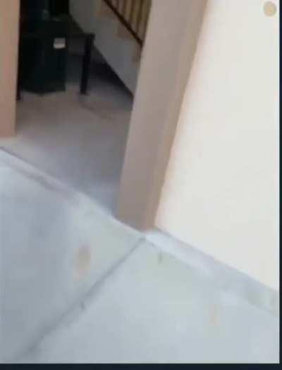 I'd honestly assume I was being pranked