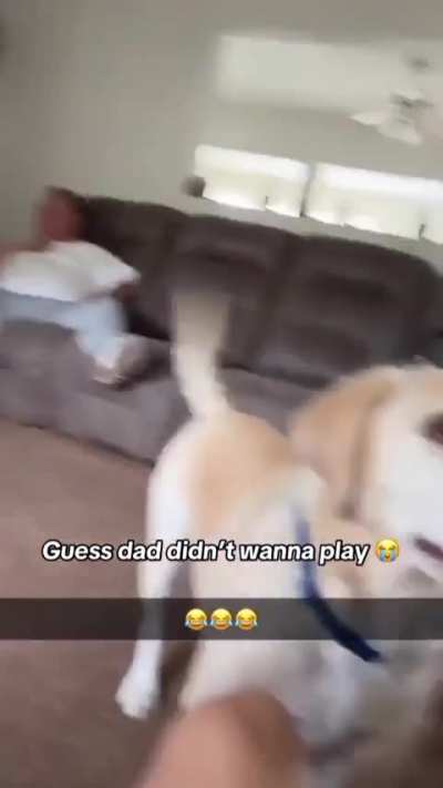 Tom & jerry ahh scream